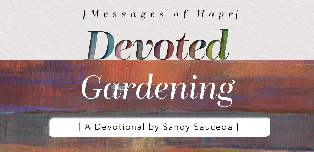 Blog Gardening Spirit of God Fellowship Church in South Holland, IL