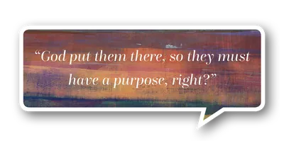 Blog PullQuote Greetings Spirit of God Fellowship Church in South Holland, IL