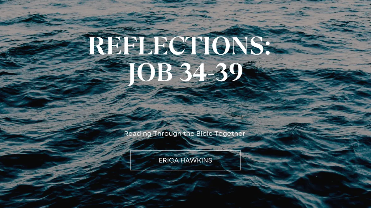 Reflections Job 34-39 Spirit of God Fellowship Church in South Holland, IL