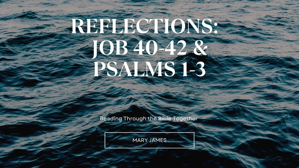 Reflections Job 40-42 and Psalms 1-3 Spirit of God Fellowship Church in South Holland, IL