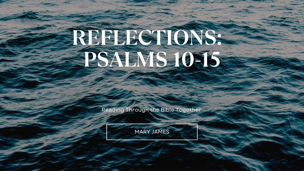 Reflections Psalms Chapters 10-15 Spirit of God Fellowship Church in South Holland, IL