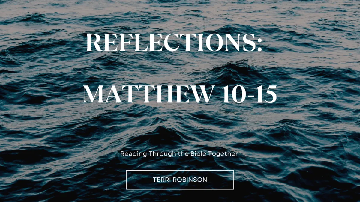 Reflections Matthew 10-15 Spirit of God Fellowship Church in South Holland, IL